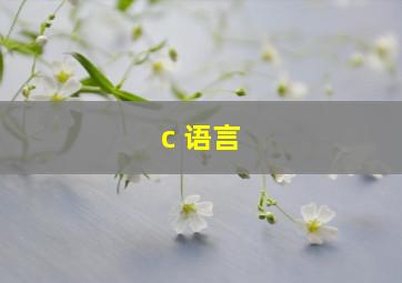 c 语言